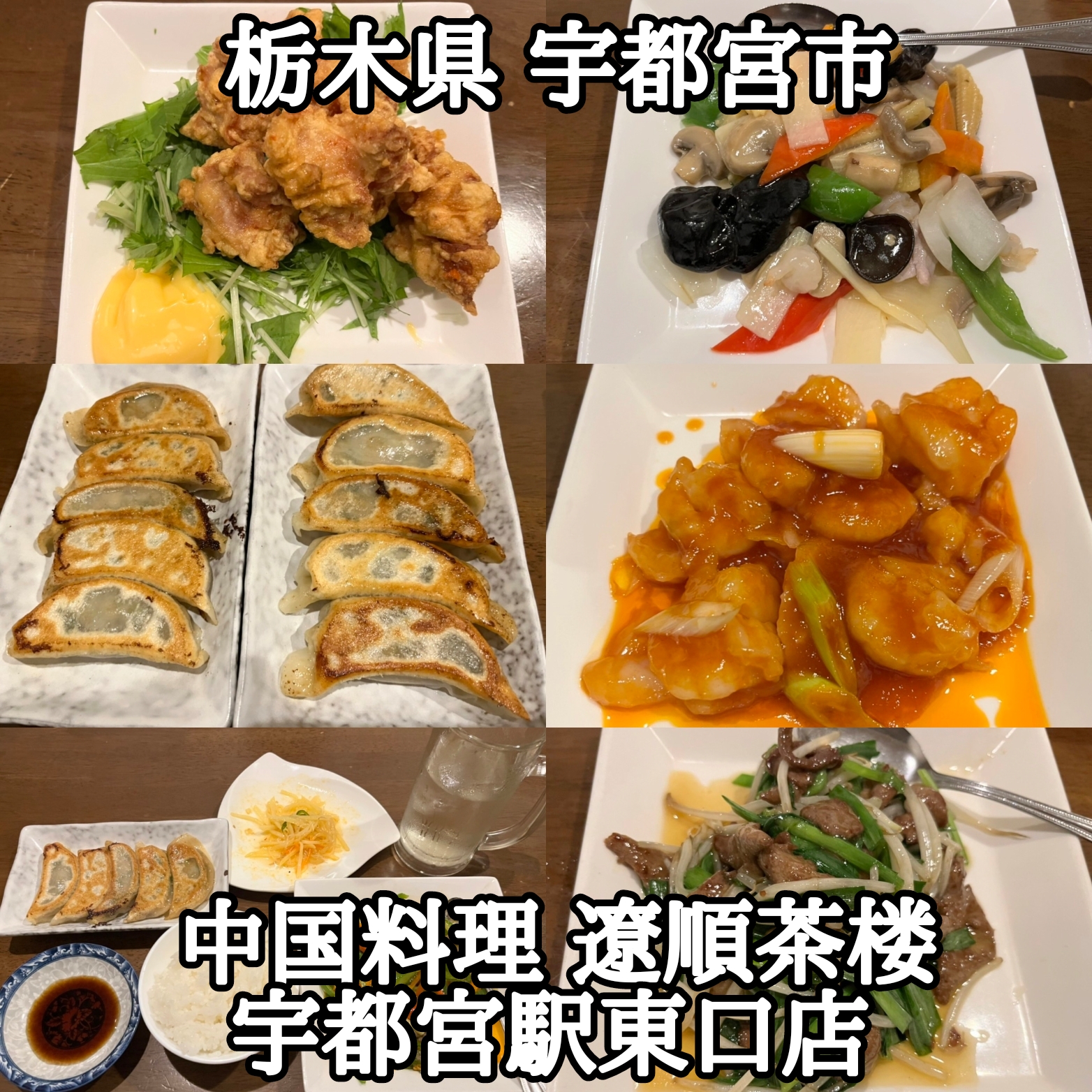 【栃木県】【宇都宮市】「中国料理 遼順茶楼 宇都宮駅東口店」ディナー利用で、メインとドリンクを選んで、餃子とライスと、もやしとサラダ付きで2000也