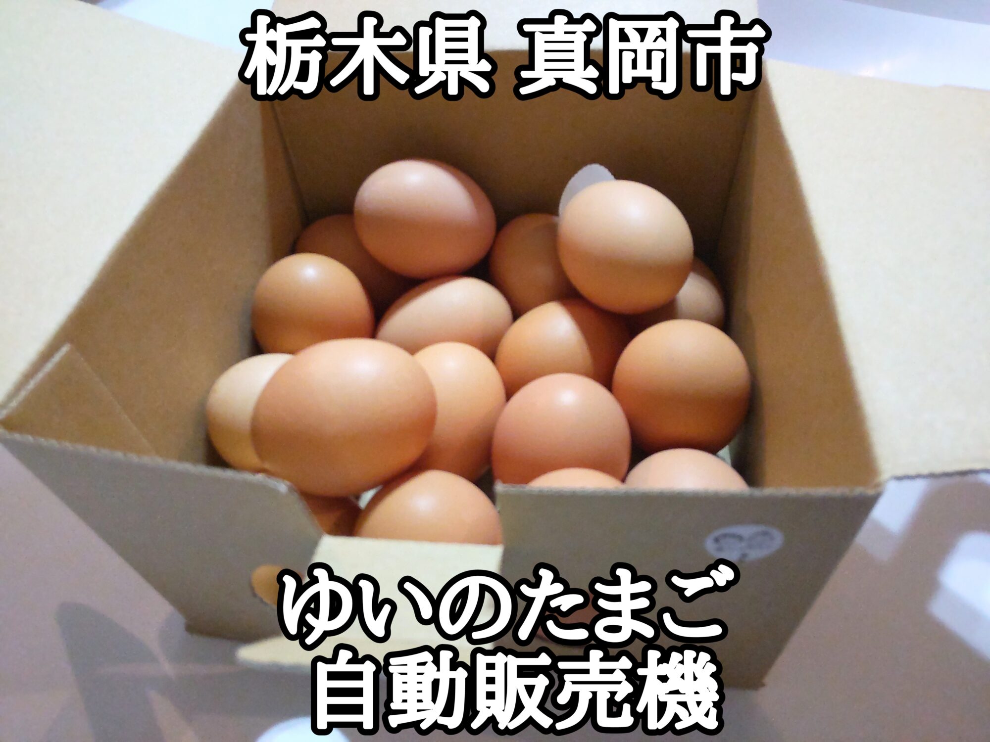 【栃木県】【真岡市】「ゆいのたまご 自動販売機」純国産鶏・もみじの平飼い赤玉の自動販売機