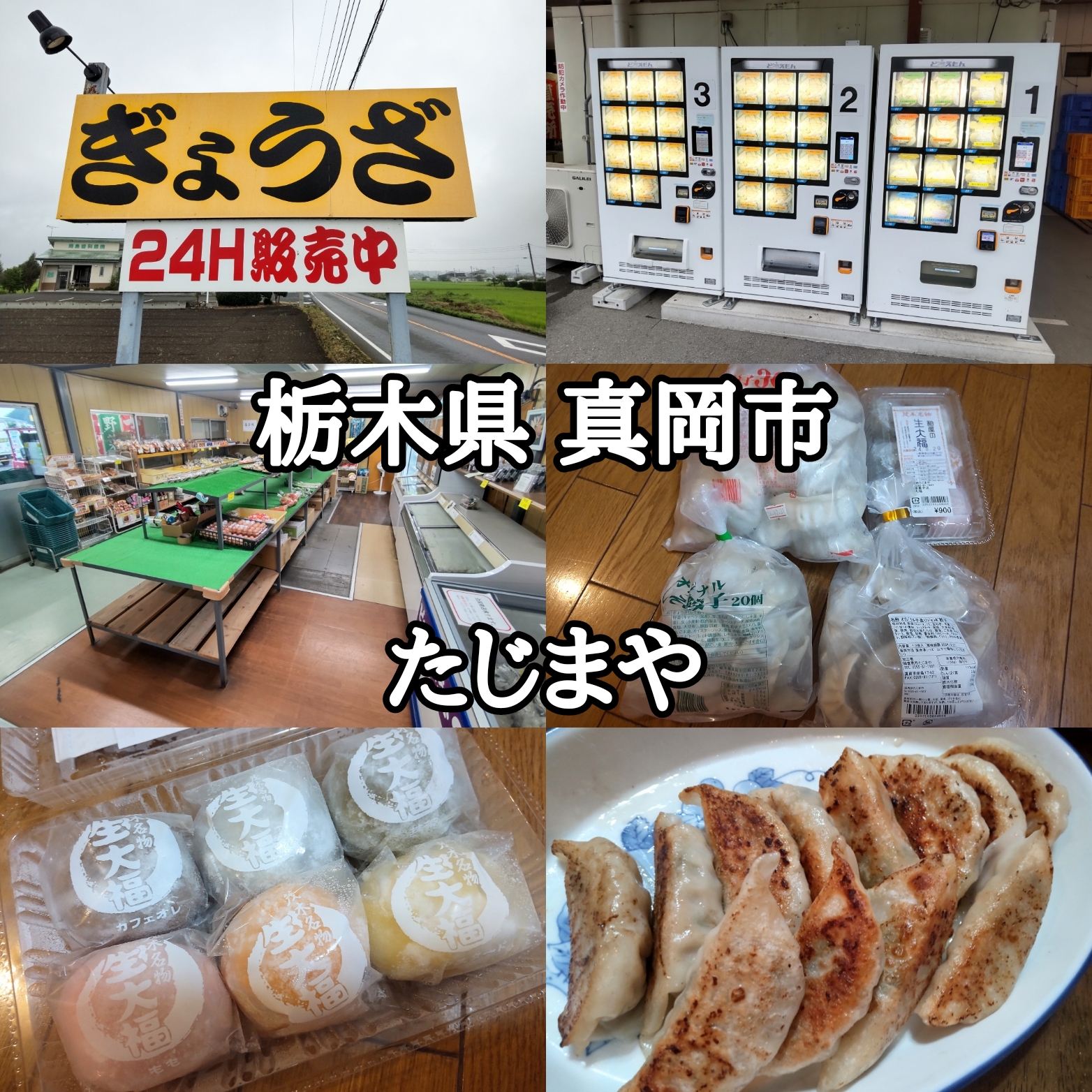 【栃木県】【真岡市】「たじまや」ヤバうまレベルの美味しさでリピーター続出のビックな冷凍餃子2