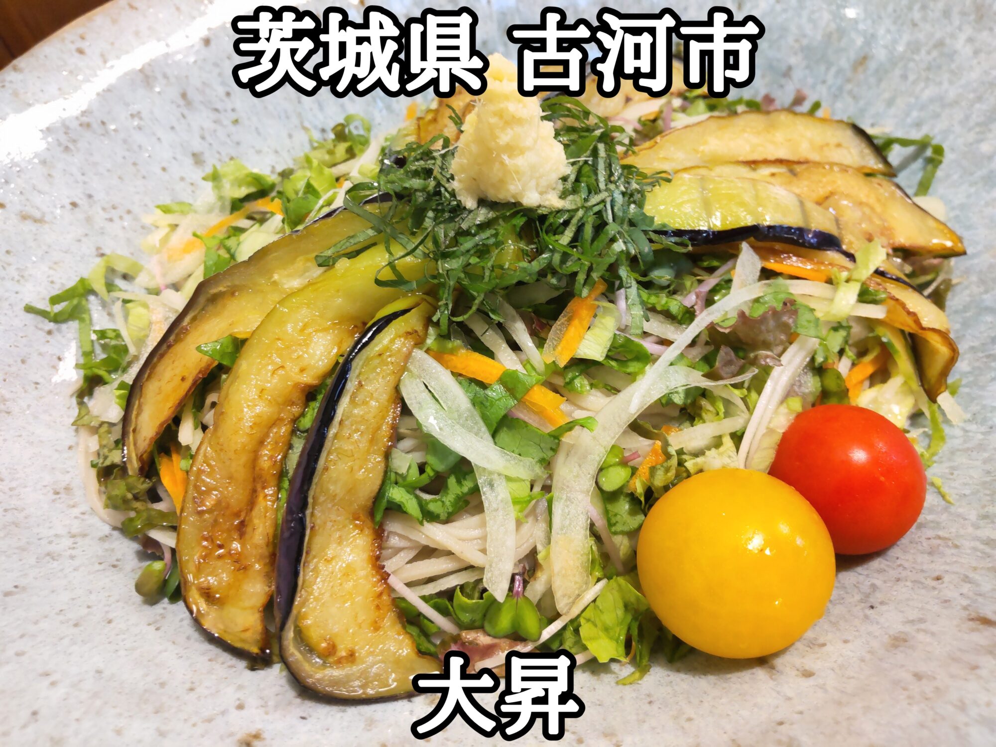 【茨城県】【古河市】「大昇」揚げなすと夏野菜の冷やしぶっかけの大盛り蕎麦