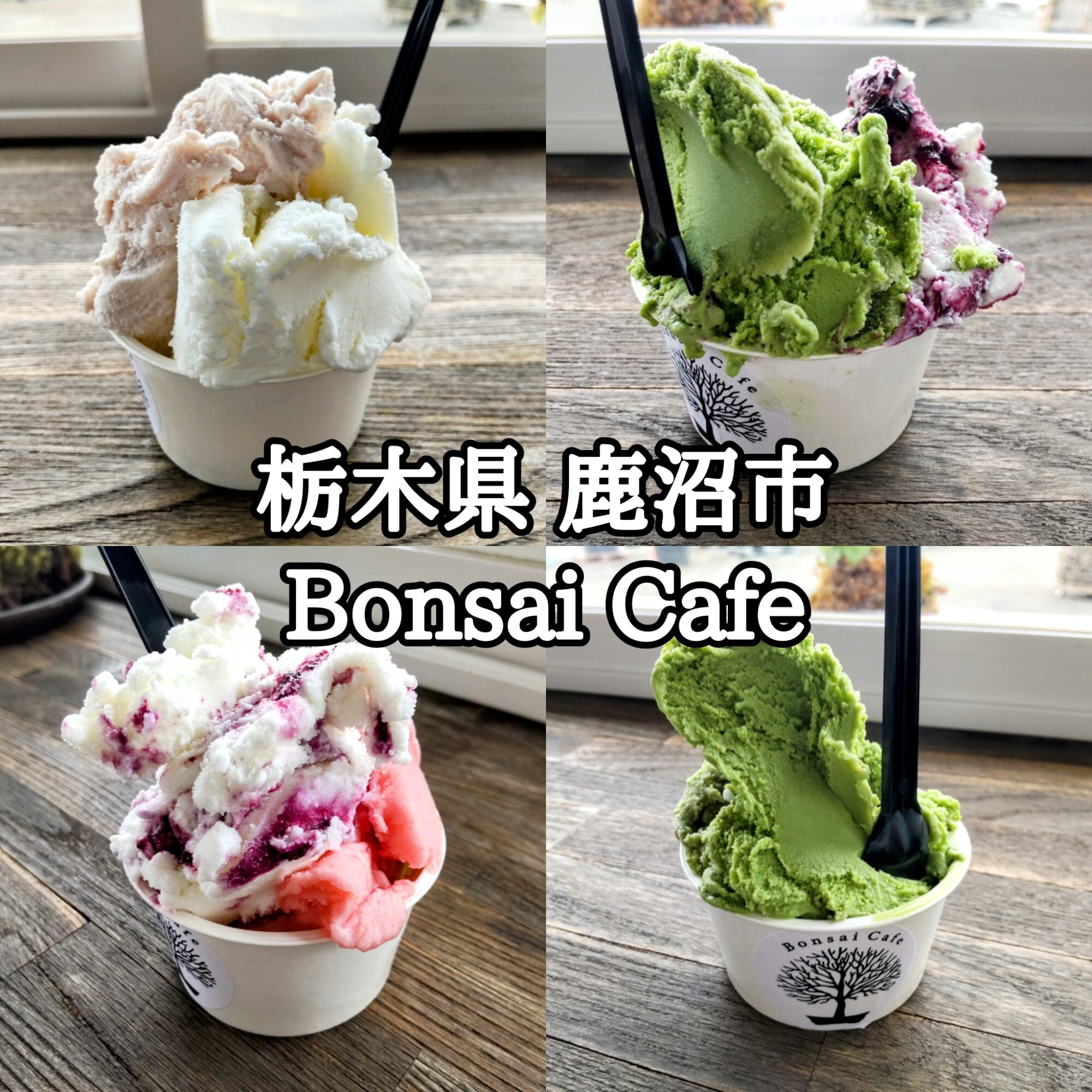 【栃木県】【鹿沼市】「鹿沼市花木センター」「Bonsai Cafe」樹木や植木を買い物ついでに、うまうまなジェラートで一息つけました